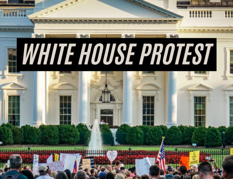 white house protest